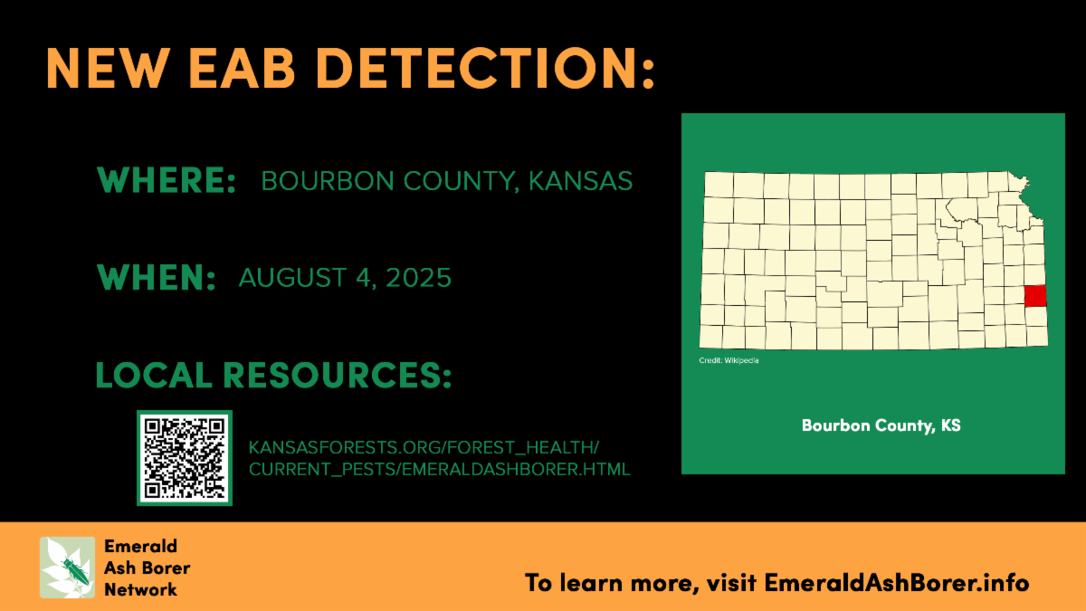 New EAB Detection Bourbon County Kansas August 4 2025