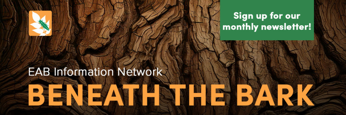 EAB Information Network Beneath the Bark Sign up for our monthly newsletter!