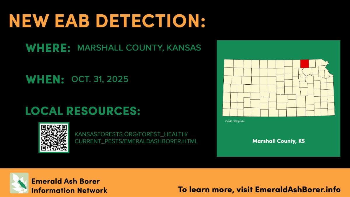 New EAB detection marshall county kansas october 31, 2025