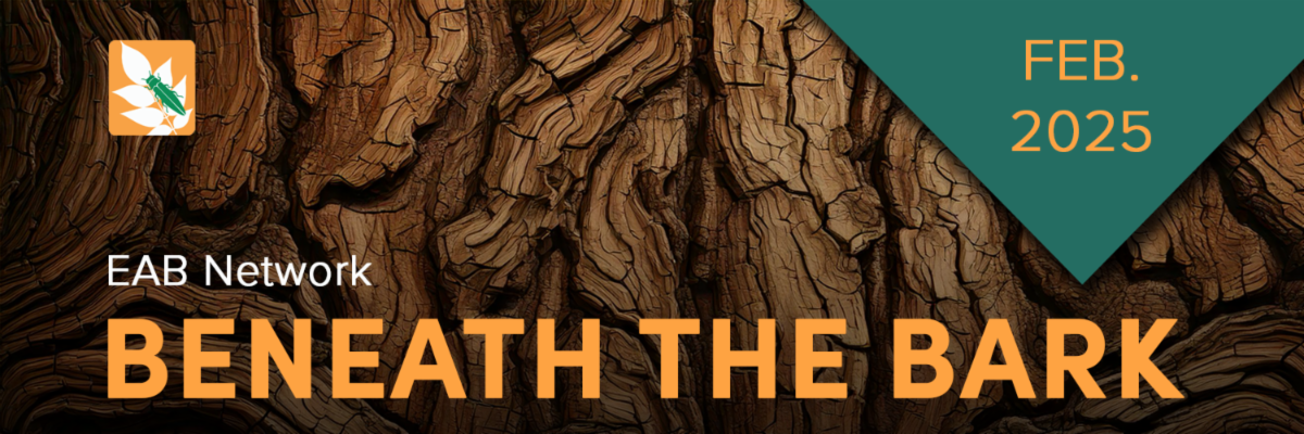 Beneath the Bark EAB Network Feb 2025