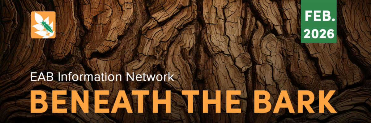 Feb. 2026 EAB Information Network Beneath The Bark