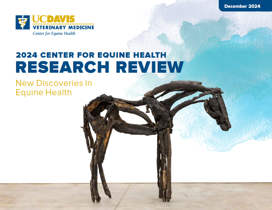 Advances in Equine Dentistry, An Issue of Veterinary Clinics