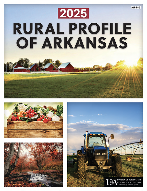 Rural Profile of Arkansas 2025