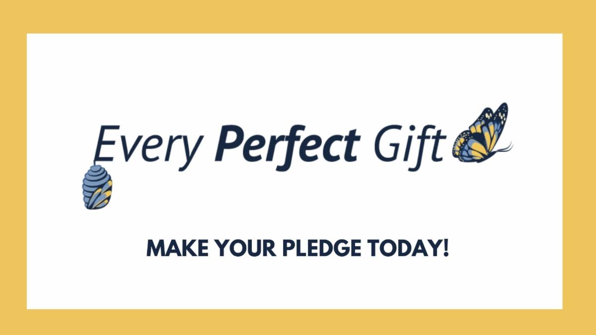 Every Perfect Gift.jpg