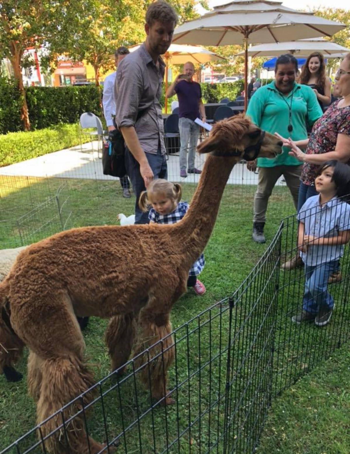 SJC Events Petting Zoo 1.png