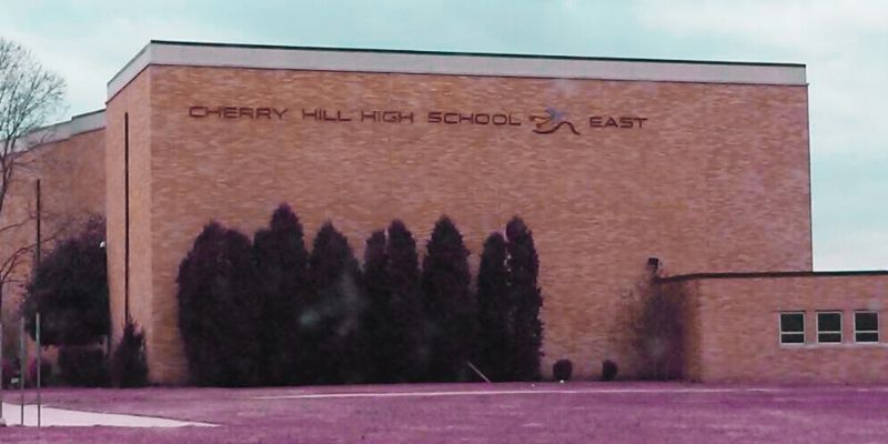 email article pics.jpg