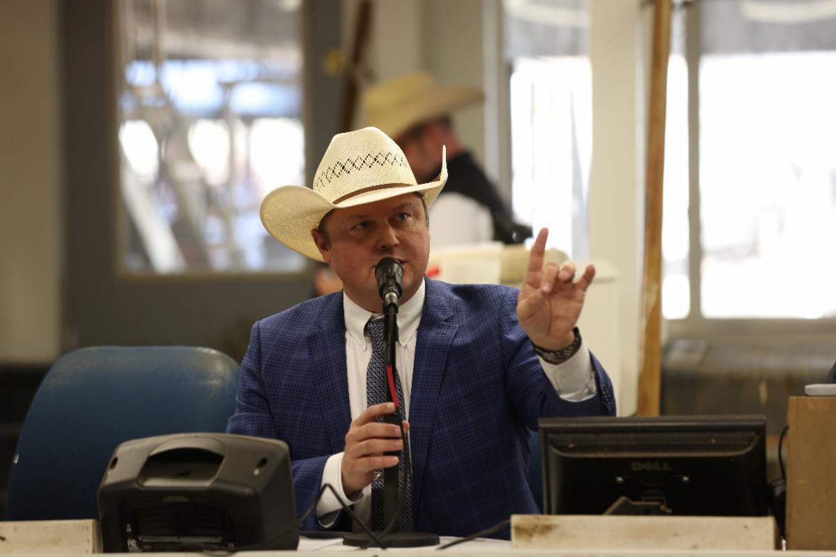 FOR IMMEDIATE RELEASE Michigan auctioneer wins qualifier for World Livestock Auctioneer