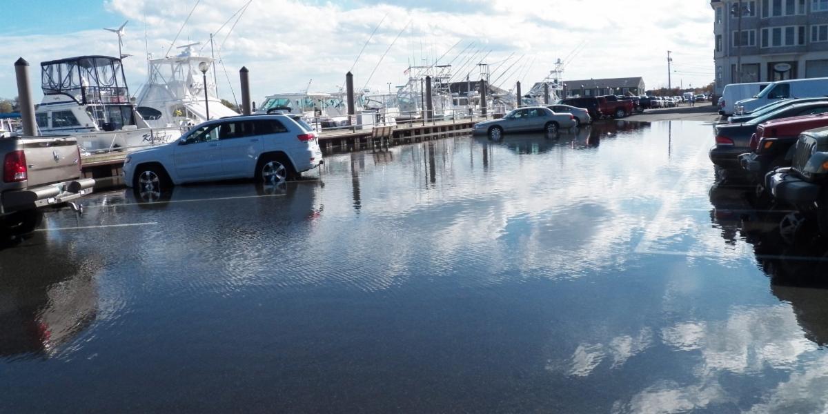 Grant Opportunity Accelerating Climate Resilience