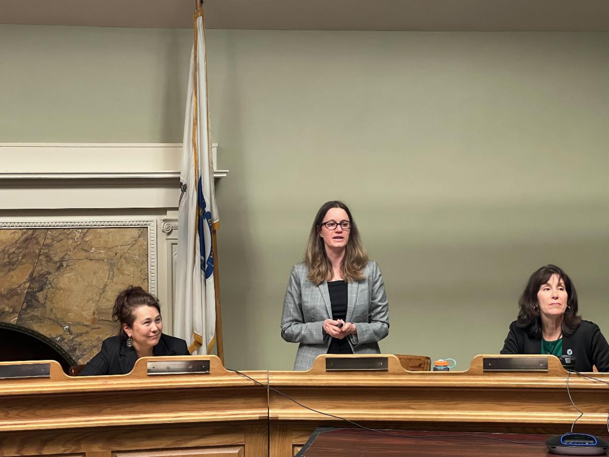 MAPC Director of Clean Energy Julie Curti speaking during Sustainability Day 2025 at the State House.