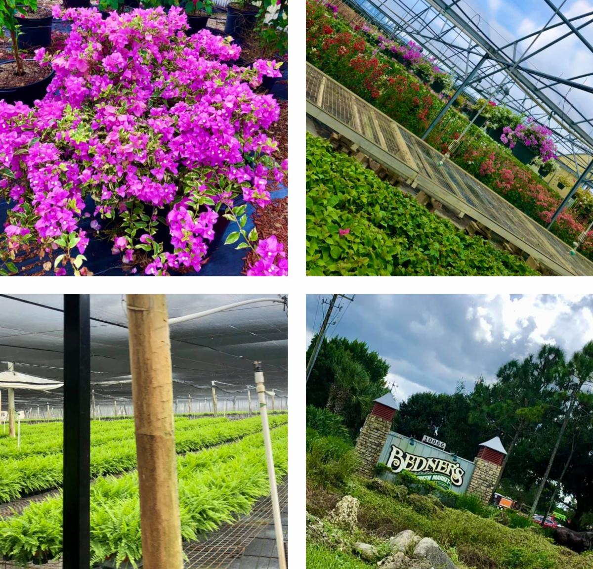 McKinlay Memo District 6 Update