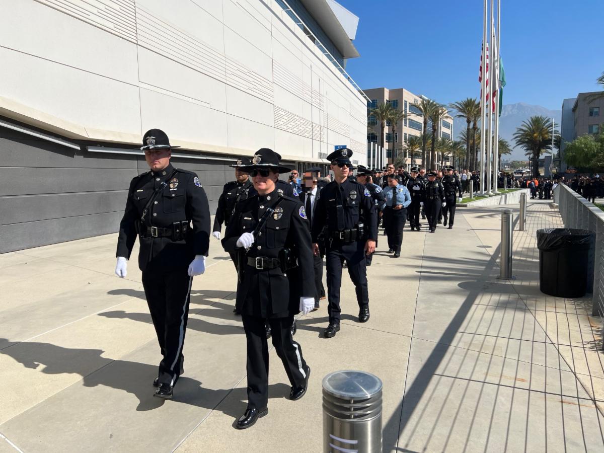 Here is this week's City Hall Snapshot