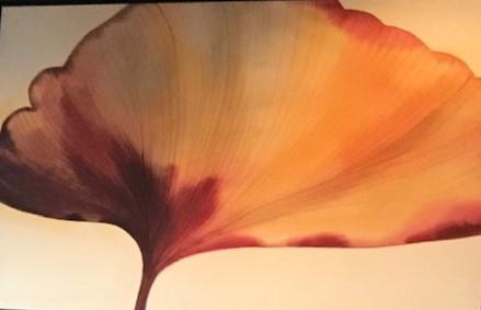 transparent flower.jpg