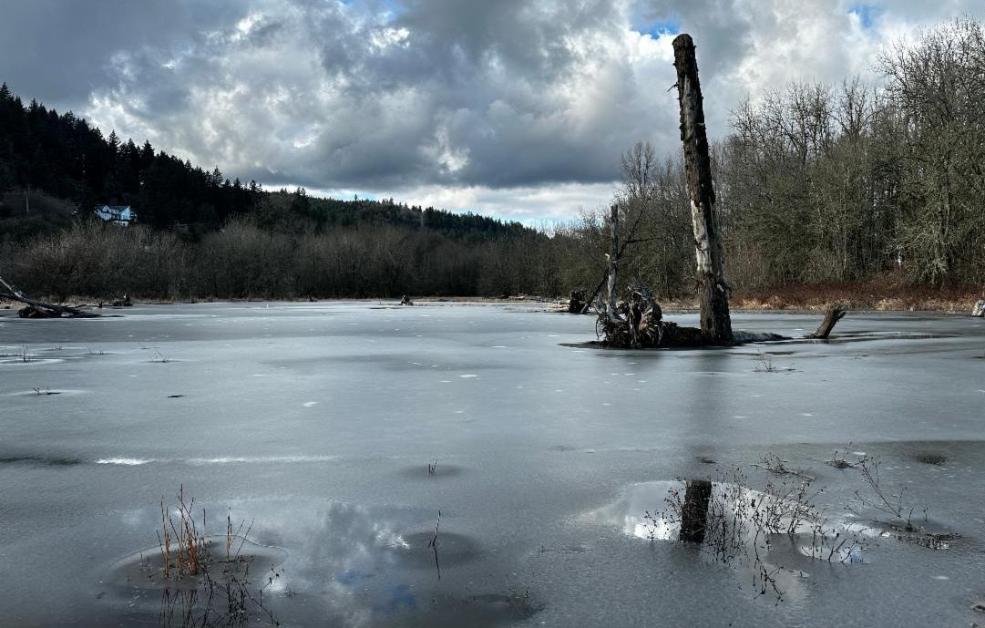IcyFloodplain