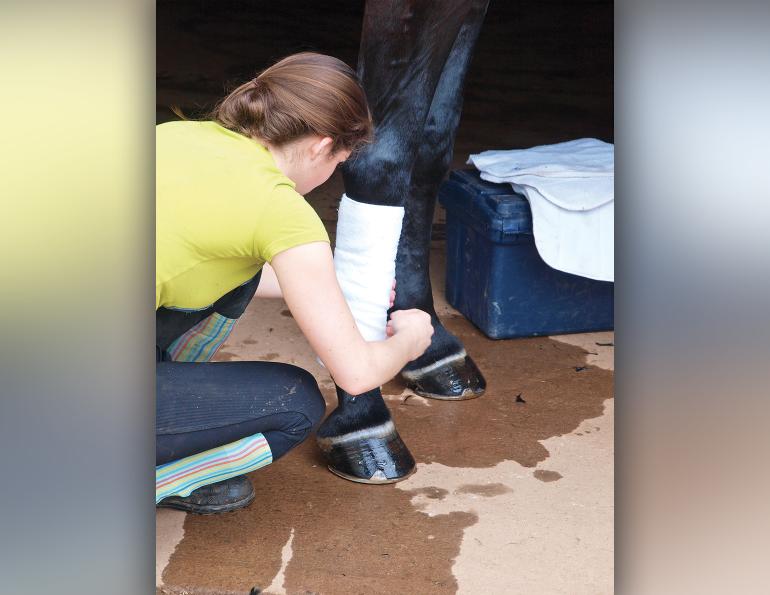 How to Wrap a Horse’s Legs