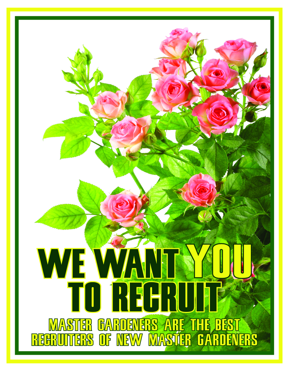 Recruit Roses