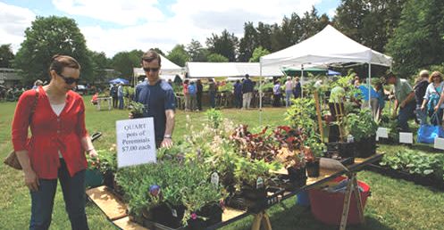 GSG Plant Sale