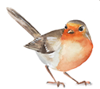 Robin