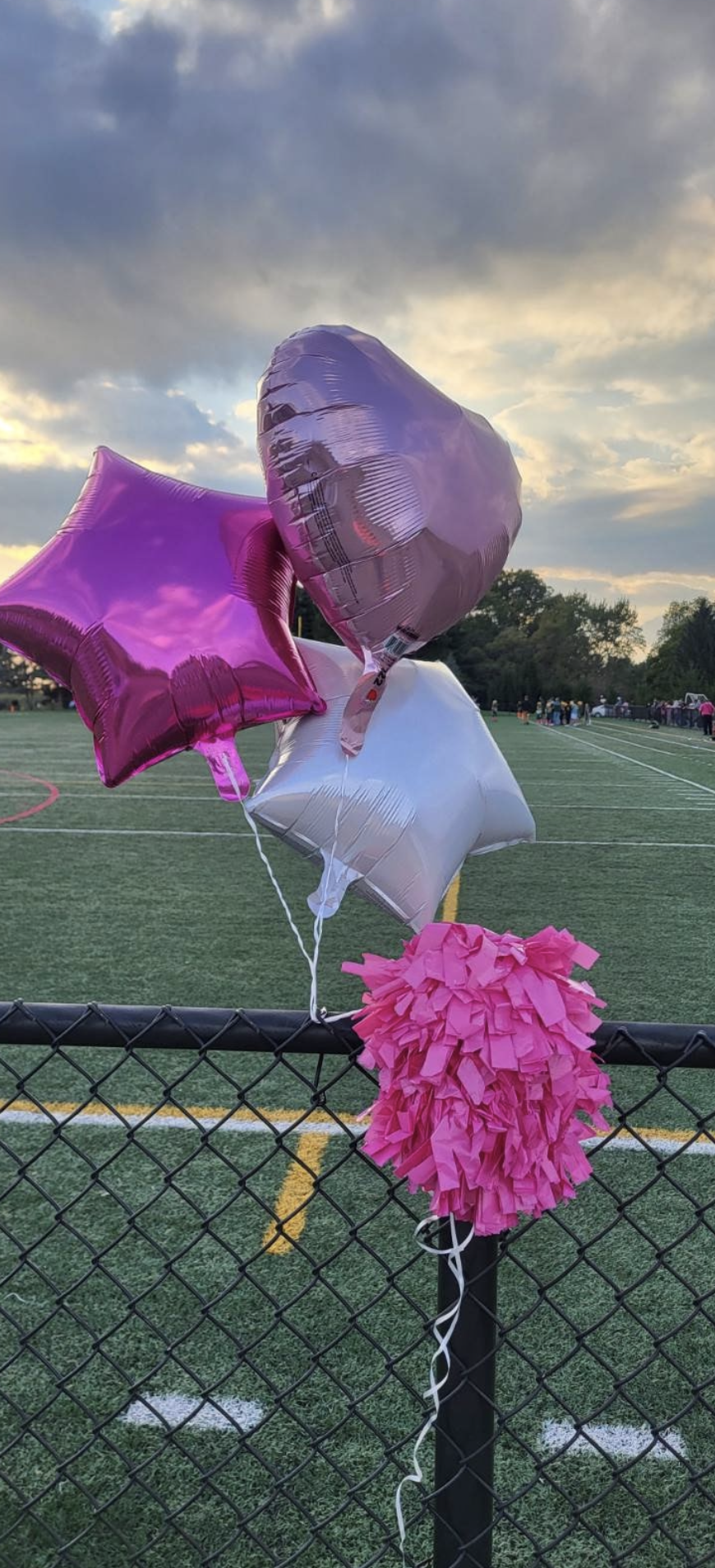 Blackhawk Pink Out Balloons