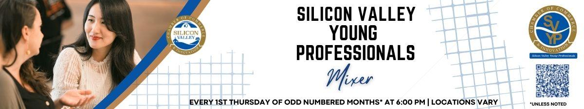 Silicon Valley Young professionals_Image