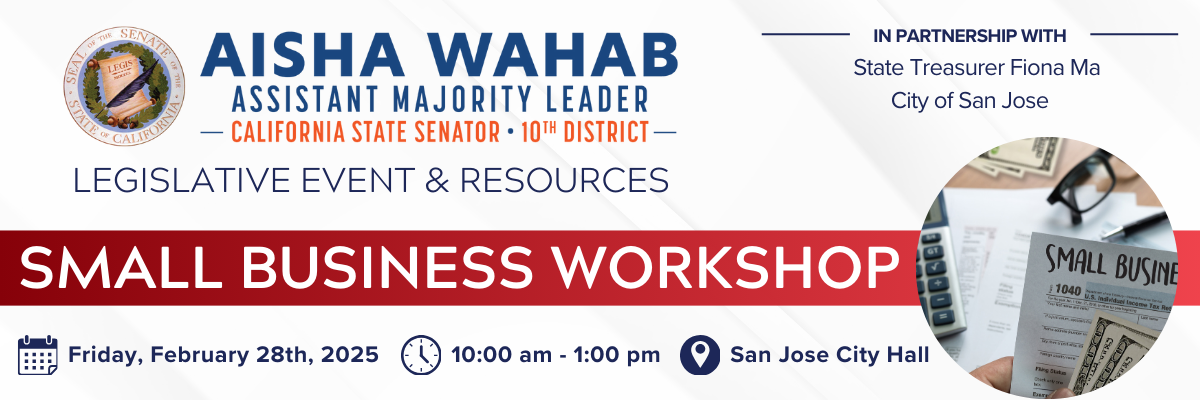 Aisha Wahab Small Business Workshop_image