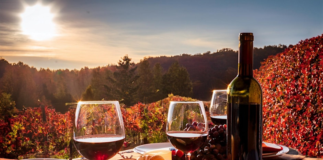 Idyll Time Wines 2nd Thursday Pop Ups_image