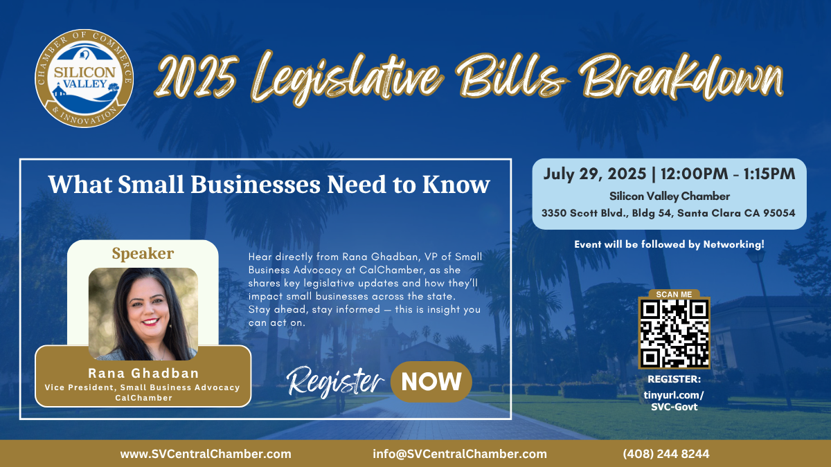 2025 Legislative Bills Breakdown_July 29_Image