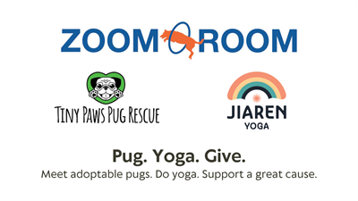 Yoga with Tiny Paws Pug Rescue_Image