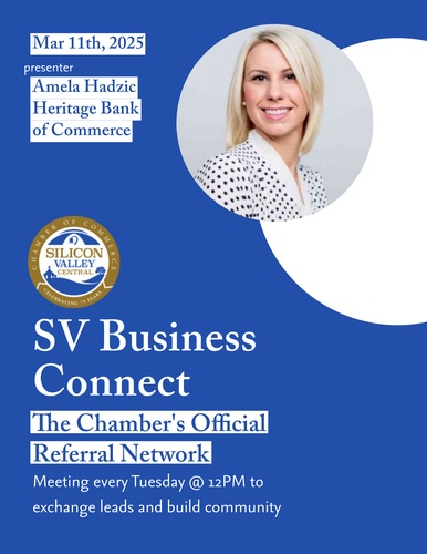Silicon Valley Business Connect Meetings_image