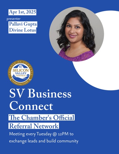 Silicon Valley Business Connect Meetings_image