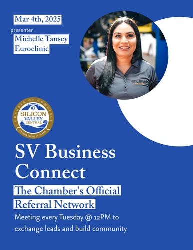 SV Business Connect Meeting_image