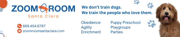 Zoom Room_Ad_Image