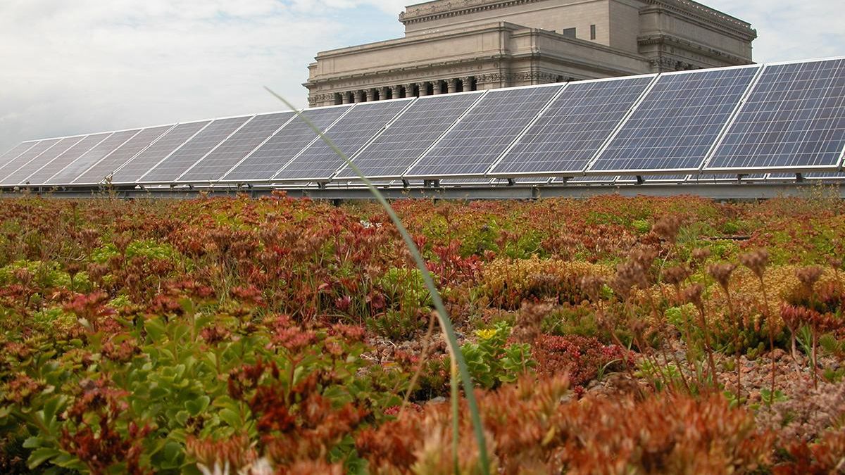 Solar panels on the Milwaukee Central Library roof