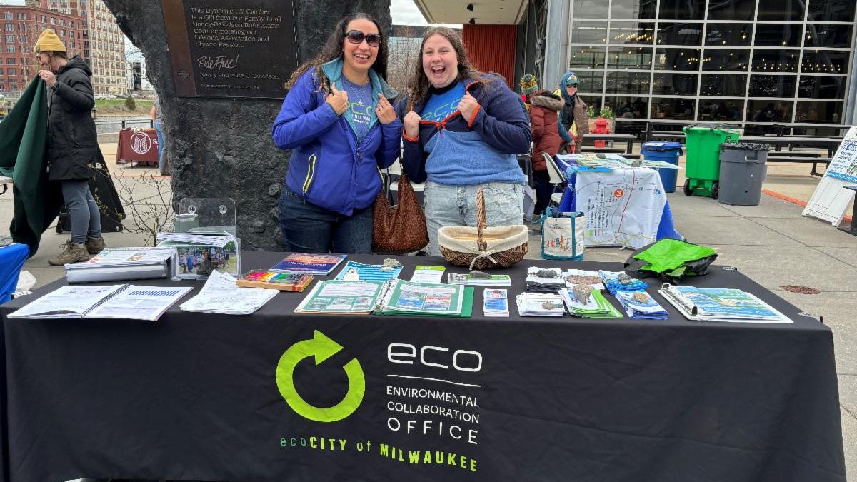 Tabling at Rock the Green