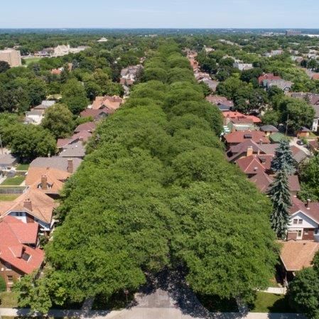 Aerial view of Milwaukee homes