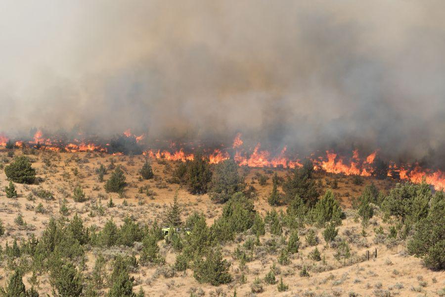 photo of a field and trees on fire