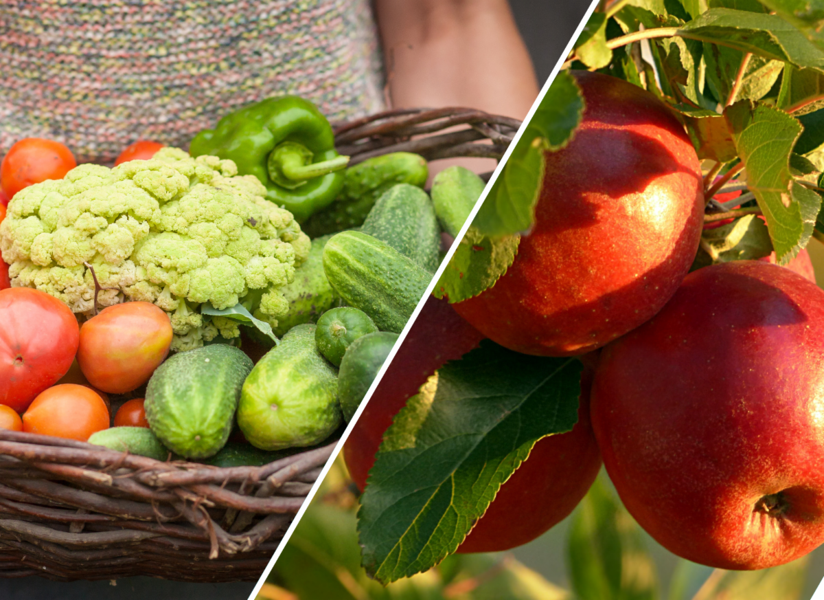 Vegetables in a Basket