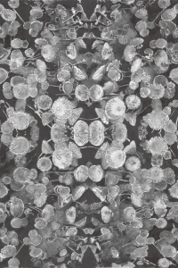 Artwork in black and white graphite pencil. 