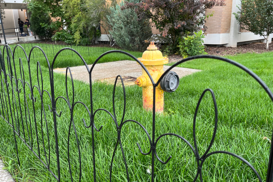 A patch of very green, healthy grass with a short, decorative metal fence around it. There is a yellow fire hydrant in this space.