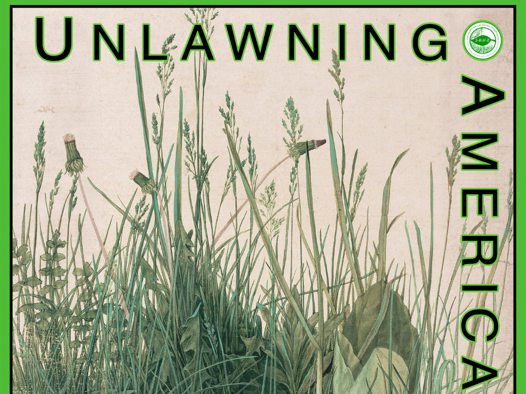 Graphic of Unlawning America: photo of grass with title in bold green letters
