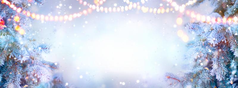 Christmas background. Xmas tree with snow decorated with garland lights_ holiday festive backdround. Widescreen frame backdrop. New year Winter art design_ Christmas scene
