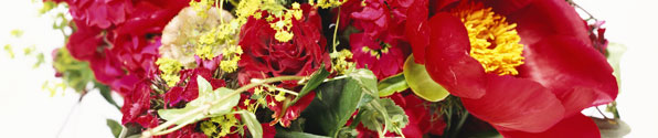 red-flowers-banner.jpg