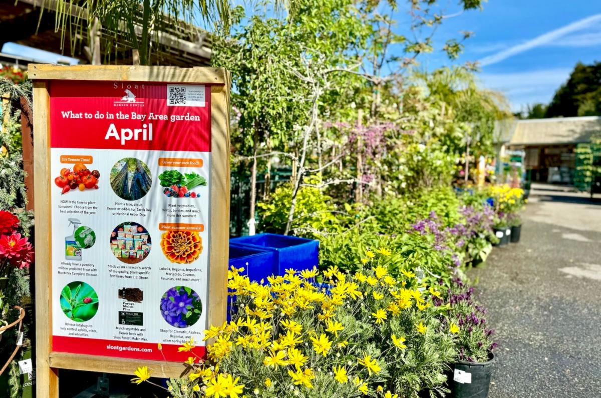 April Tips 🌱April Tips, Tomatoes & New Arrivals
