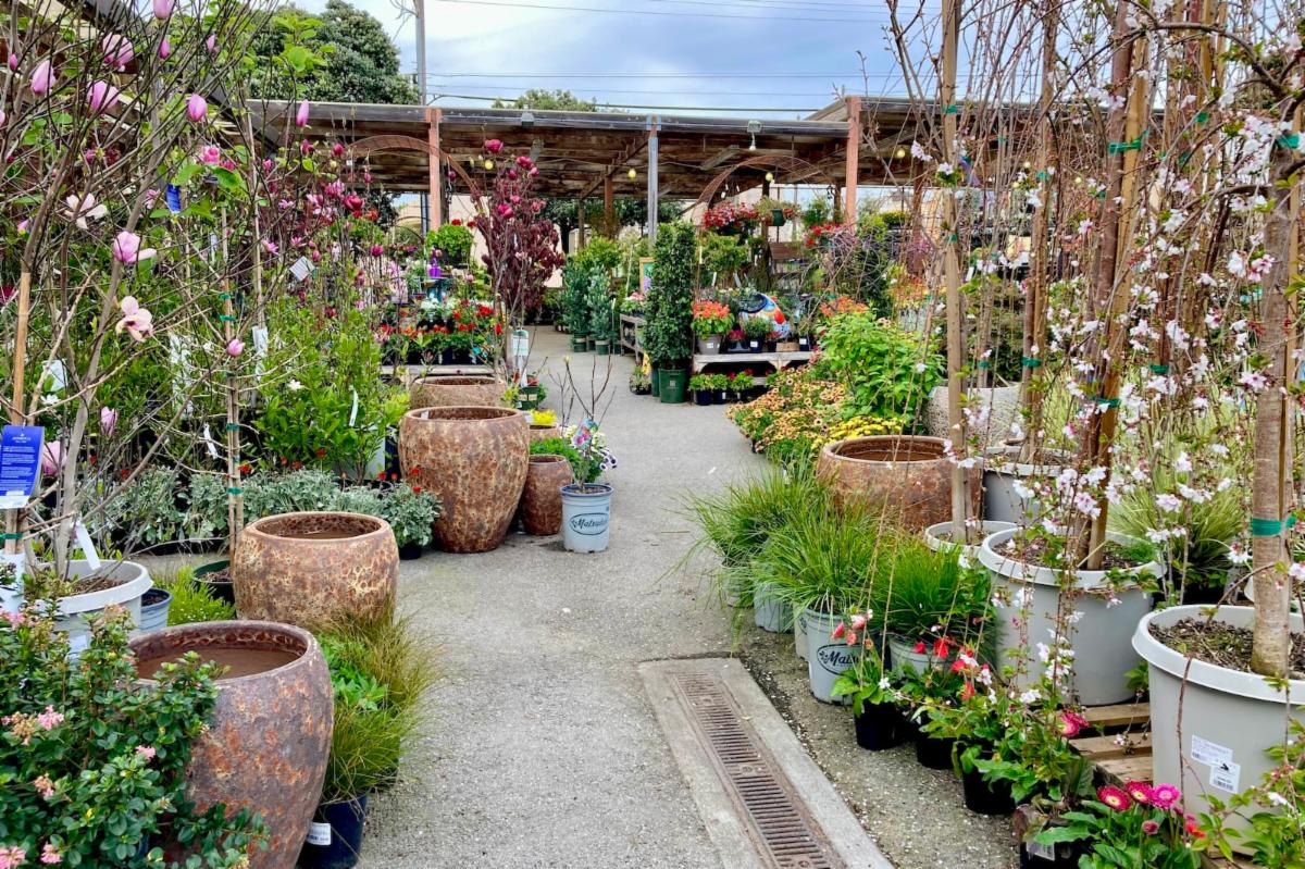 Jump into Spring with our New Gardener's Notebook