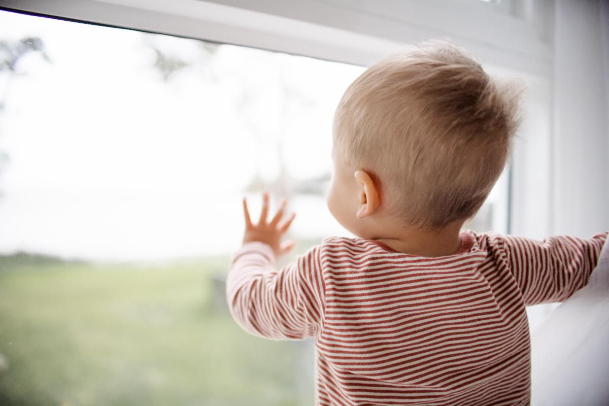 Toddler at Window