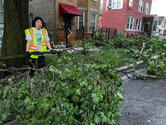 Ald. Lee pictured wearing a high-visibility safety vest stands beside a large fallen tree branch that is blocking a residential street. The branch, covered in green leaves, stretches across much of the roadway in front of brick homes with small front yards and black metal fences. The individual appears to be assessing the damage, likely following a storm. The scene highlights the impact of fallen debris on neighborhood streets and pedestrian access.