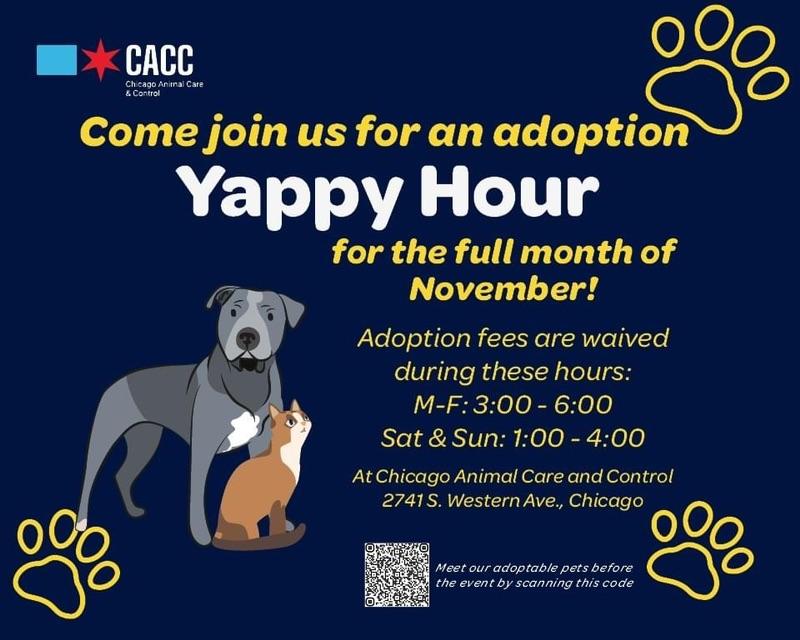 Announcing daily "Yappy Hour" at CACC!   Calling all pet lovers! Join us for Yappy Hour, a happy hour event prompting fee-waived adoptions at the Chicago Animal Care and Control for the entire month of November!   Yappy Hour times: Monday - Friday: 3pm-6pm Saturday and Sunday: 1pm-4pm  Come meet some adorable dogs and cats, and learn more about the adoption process. All adoptions are fee-waived during Yappy Hour, so it's the perfect time to find your new furry best friend!  Our volunteers and staff will be on hand to answer your questions and help you find the perfect pet for your family. So come on down to Yappy Hour and help us find forever homes for these deserving pets!  Don't forget to share this event with your friends and family! The more people who know about Yappy Hour, the more pets we can help adopt.  We look forward to seeing you there!