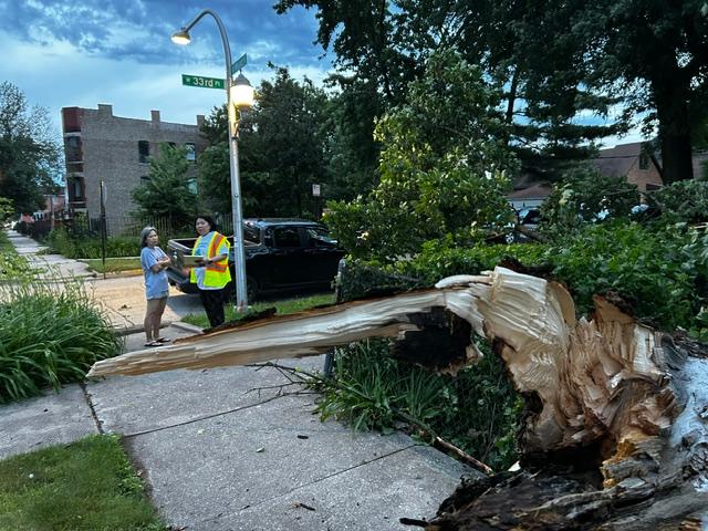 A large tree has fallen across a residential sidewalk after breaking near its base, leaving splintered wood and exposed roots visible in the foreground. Two people stand nearby inspecting the damage, including one person wearing a high-visibility safety vest. The scene is located at a neighborhood street corner, with a street sign visible on a utility pole, homes and parked vehicles in the background, and mature trees lining the street. The fallen tree completely blocks the sidewalk, illustrating the extent of the storm or impact damage.