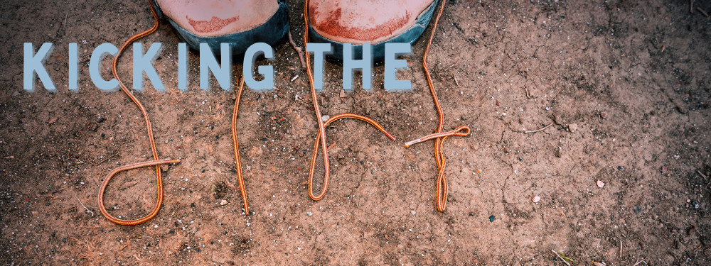 Copy of Copy of Copy of Farmer Update 2 _3_.png