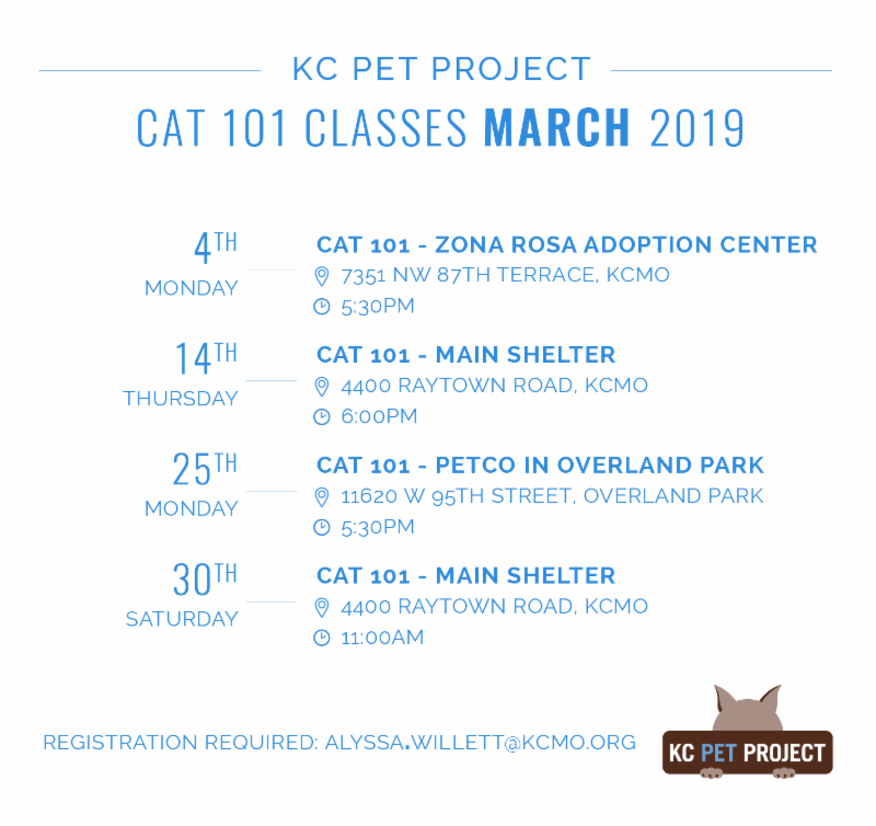 March Volunteer Newsletter Kansas City Pet Project