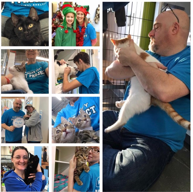 February Volunteer Newsletter Kansas City Pet Project